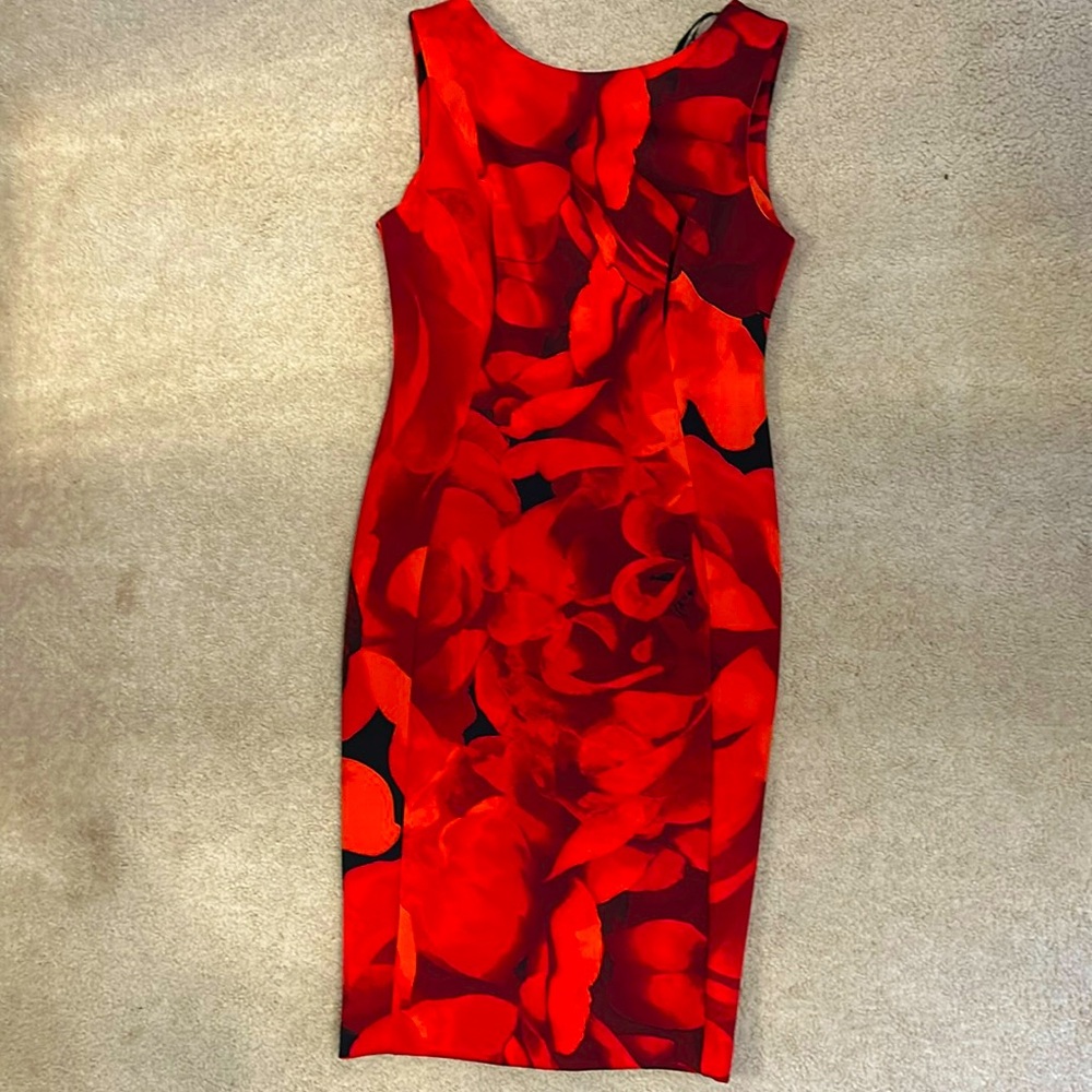 Calvin Klein size 8 dress